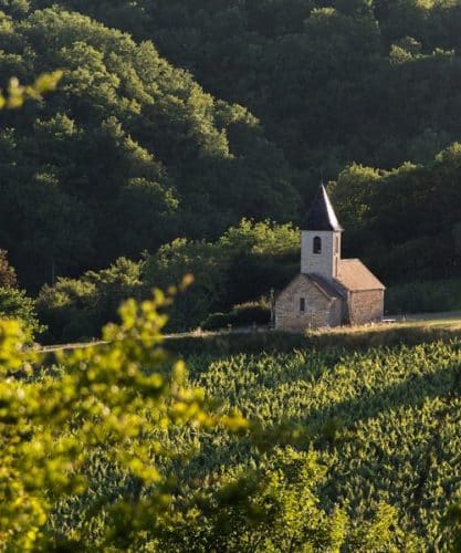 Viticulture durable