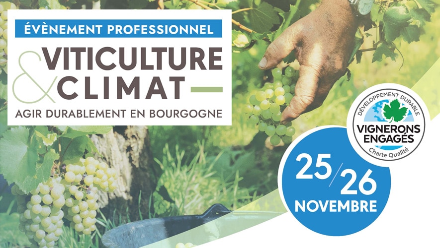 viticulture-climat-durable-bourgogne-evenement-cave-de-lugny